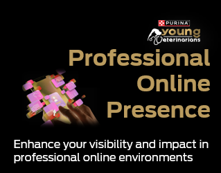 Professional Online Presence