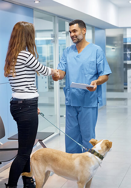 Bir veteriner ve bir danışan, temiz bir klinik ortamında, bir köpeğin yanında el sıkışıyor.