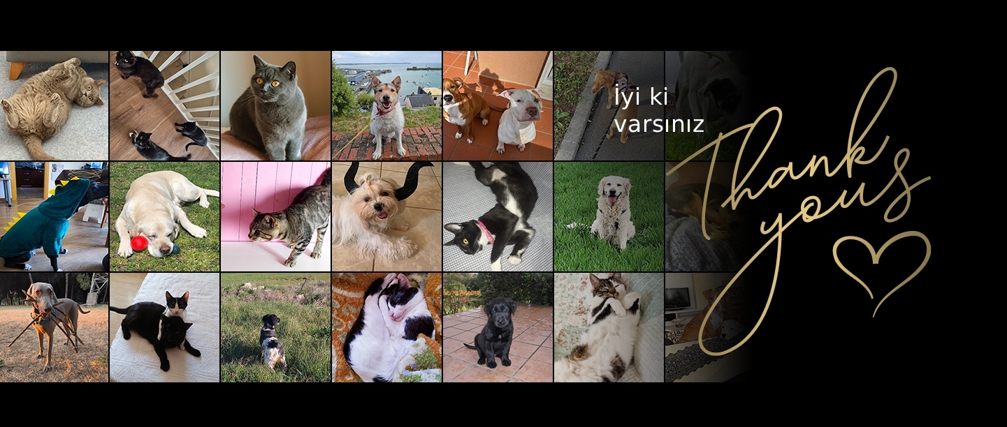 Teşekkürler pankart