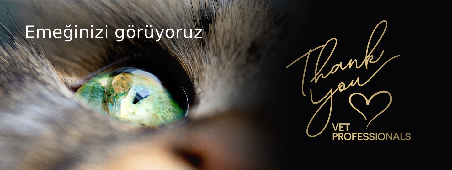Bir kedinin gözünde veteriner yansıması; “Emeğinizi görüyoruz” ve “Thank you Vet Professionals” mesajı.