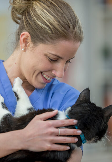 Gülümseyen veteriner kedi taşıyor