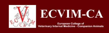 European College of Veterinary Internal Medicine – Companion Animals event image