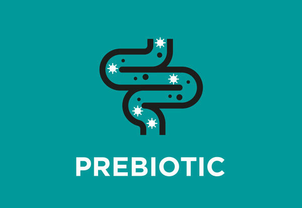 Eklenmiş prebiyotik (hindiba inülini)