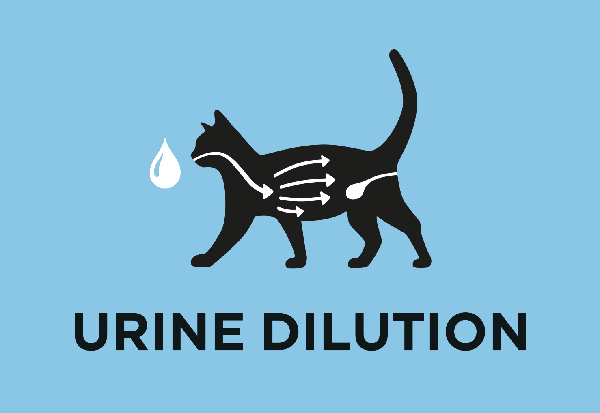 İdrar seyreltmesini artırmaya yardımcı olur