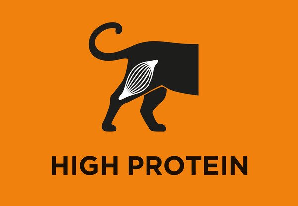Yüksek protein seviyesi