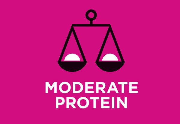 Uyarlanmış protein