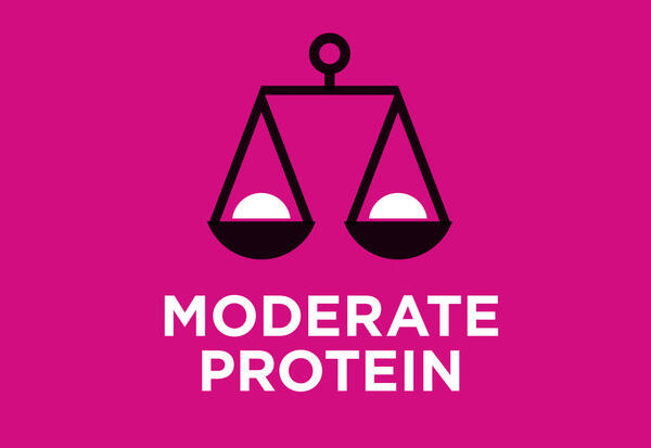 Uyarlanmış protein