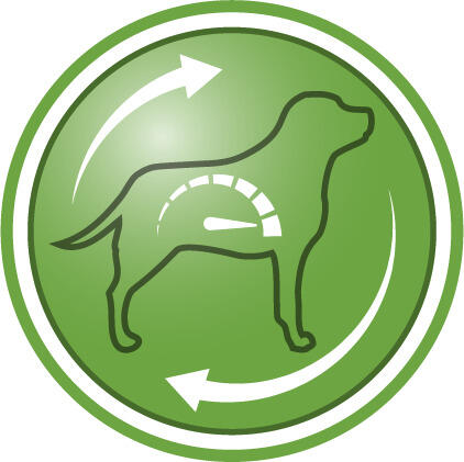 Açlık hissini azaltmaya yardımcı olur ve tokluğu destekler