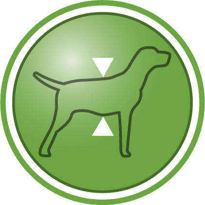 Yağsız vücut kütlesinin korunmasına yardımcı olur