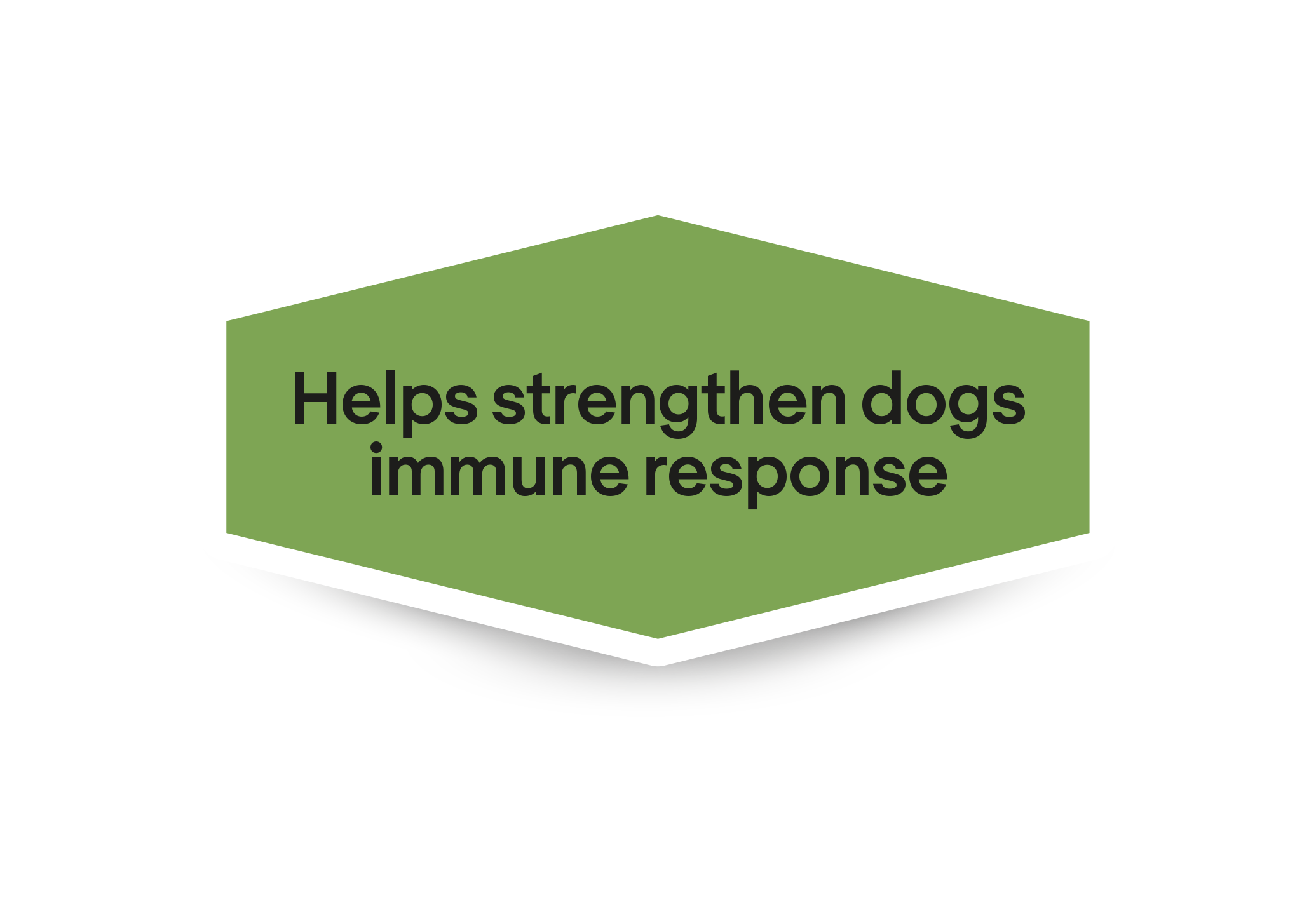 Köpeklerin bağışıklık yanıtını güçlendirmeye yardımcı olur.