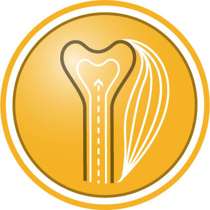 Sağlıklı kemik ve kas büyümesini destekler