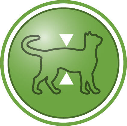 Kısırlaştırmadan sonra yağsız vücut kütlesinin korunmasına yardımcı olur