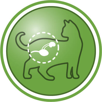 Kısırlaştırılmış kedilerde üriner sistem sağlığının korunmasına yardımcı olur