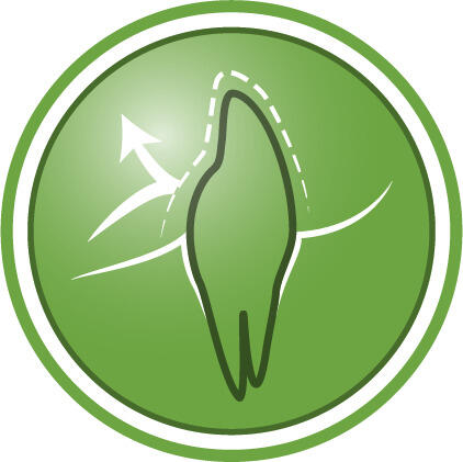 Dişlerde plak ve tartar birikiminin engellenmesine yardımcı olur