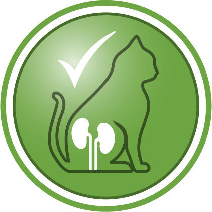 Böbrek fonksiyonlarını desteklemeye yardımcı