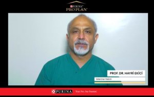 PURINA GENC AKADEMI SORUYOR-Prof.Dr.Hayri EKİCİ