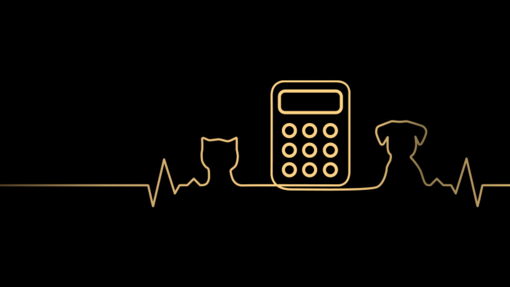 Pro Plan Porsiyon Hesaplayıcısı