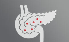 Endokrin Sistem Sağlığı
