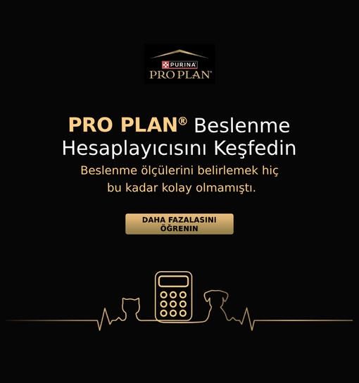 PRO PLAN Beslenme Hesaplayıcısını Keşfedin