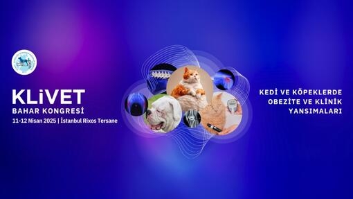 KLİVET BAHAR KONGRESİ