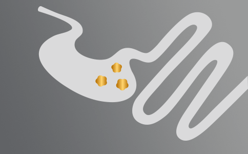 Gastrointestinal Sağlık